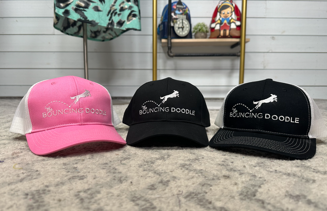 Custom Embroidered Bouncing Doodle Hat