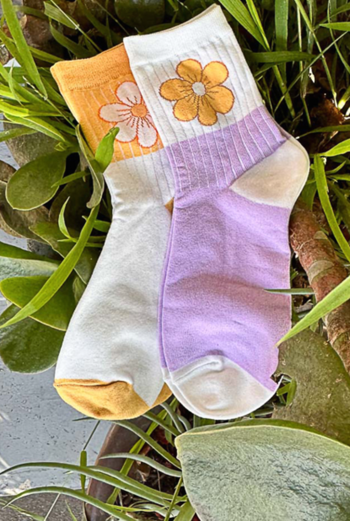 POL - Daisy Socks