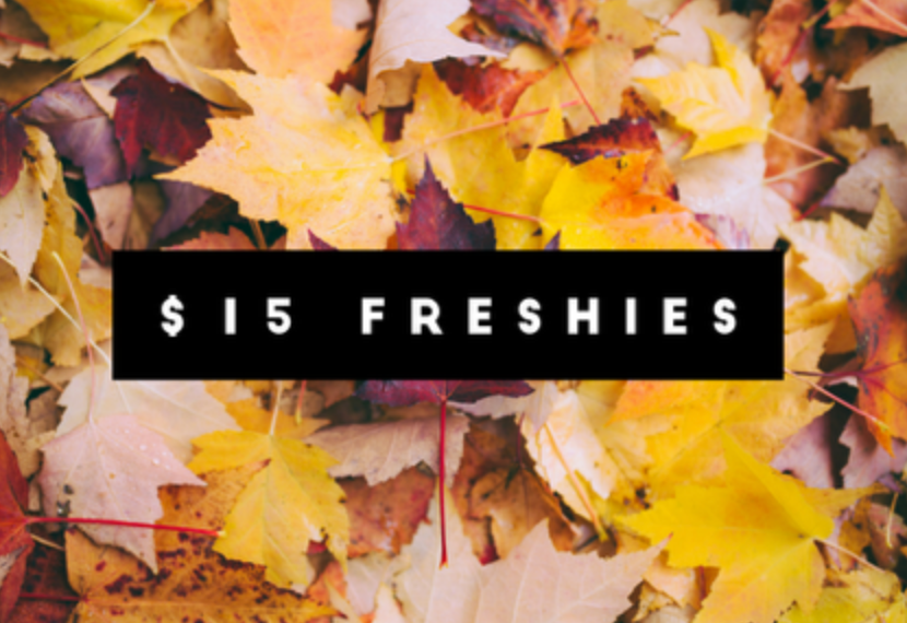 Shop The Box Freshies