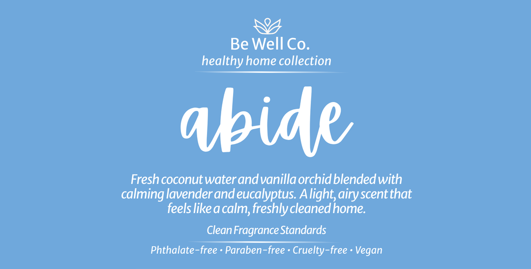 Liquid Laundry Concentrate- ABIDE