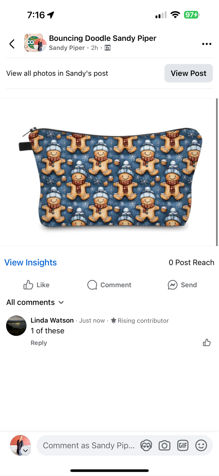 Linda Watson Pouches