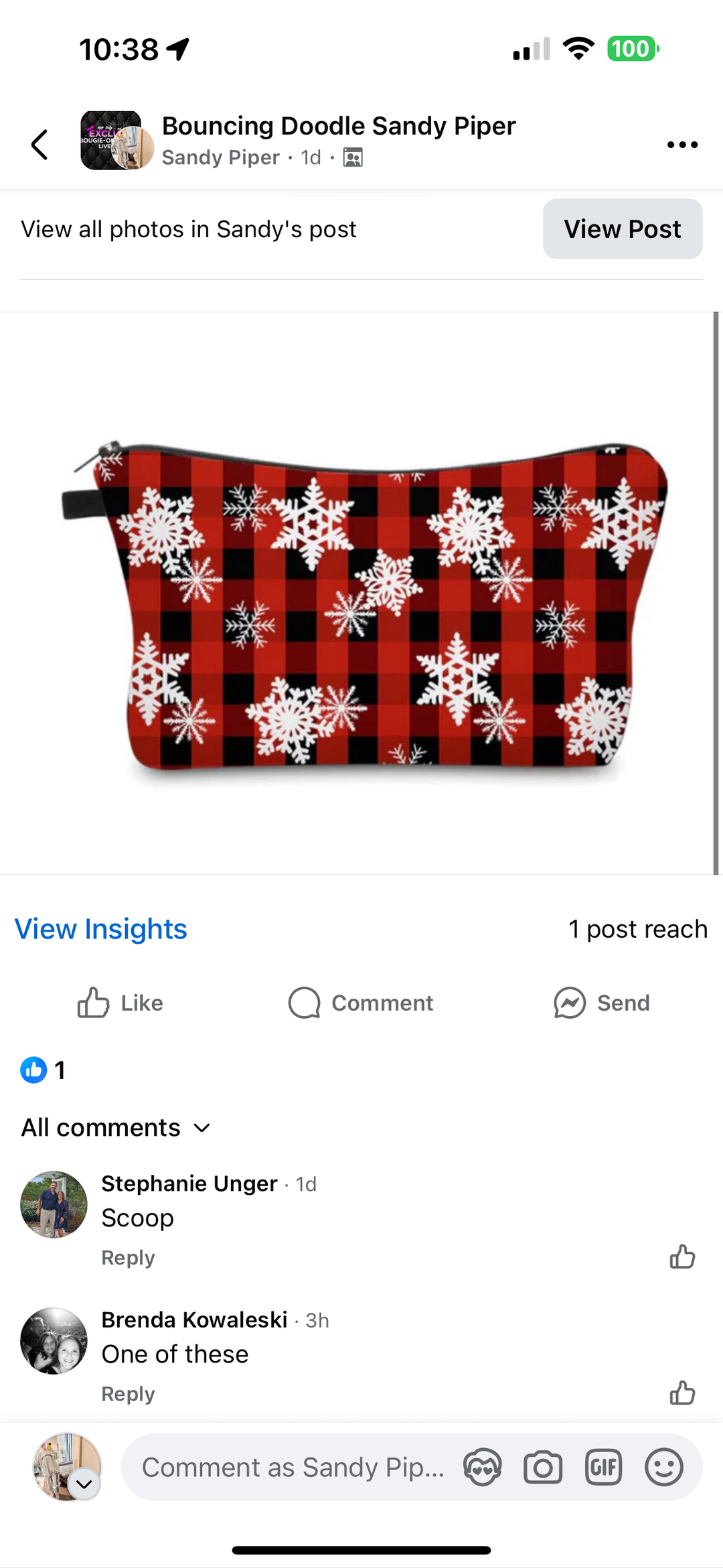 Brenda Kowaleski Pouches