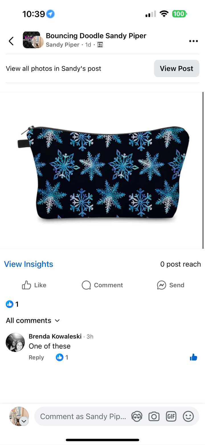 Brenda Kowaleski Pouches