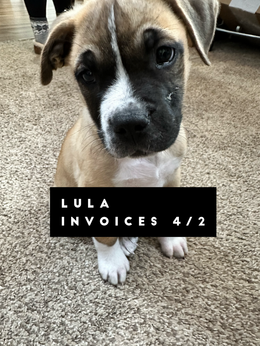 Lula Invoices 4/2