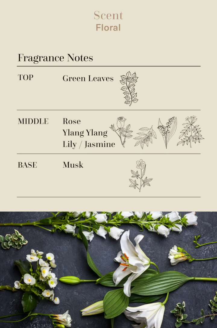 VLÁHO ARTICHOKES® HAND CREAM