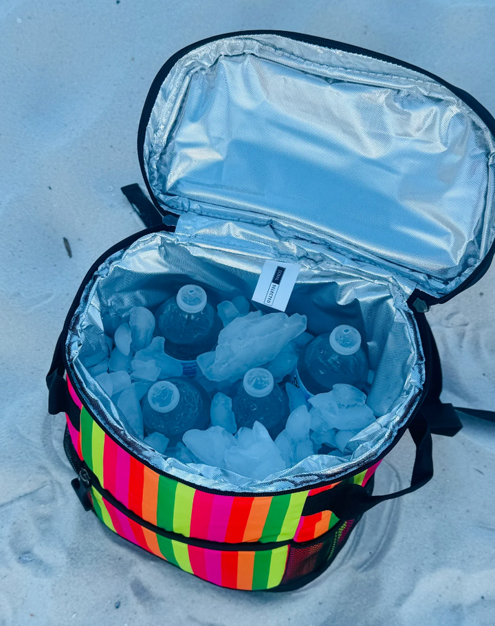 Insulated Backpack Cooler