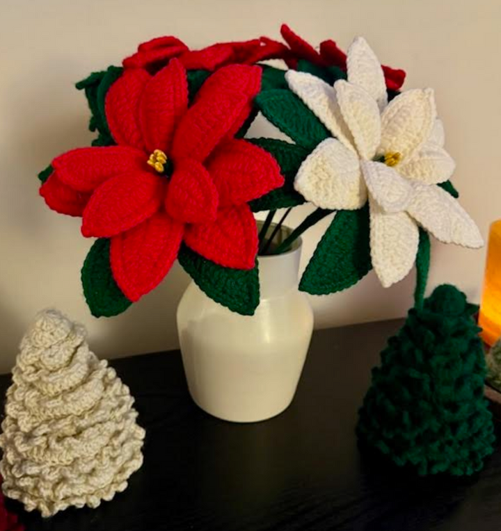 Holiday Knit Decorations (Pre Order)